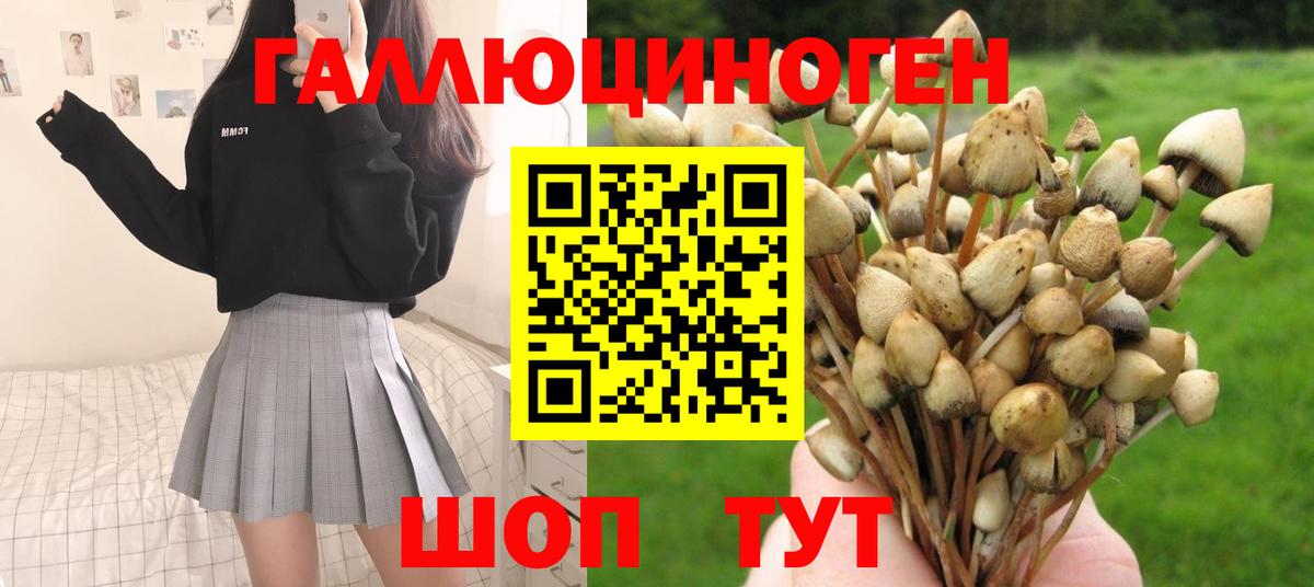Псилоцибиновые грибы прущие грибы  цена наркотик  Семилуки  Псилоцибиновые грибы GOLDEN TEACHER  Вход с VPN 